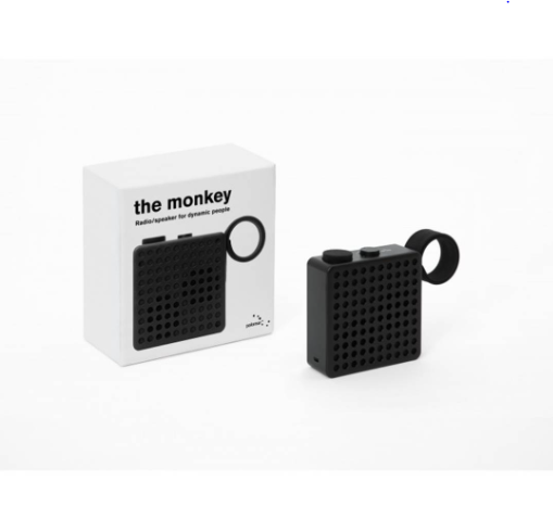 Loudspeaker & Radio